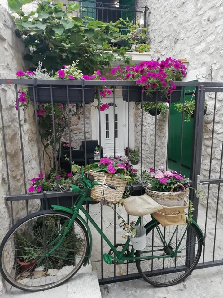 Apartman Teta Jadre Makarska Kültér fotó
